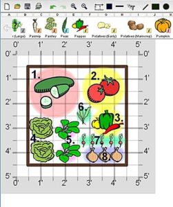 Example Map of of Small Salad Garden Planting
