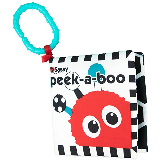Sassy Peek A Boo Activity Book